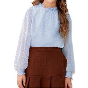 ⭐️Chic Blue Blouse With Sheer Sleeves